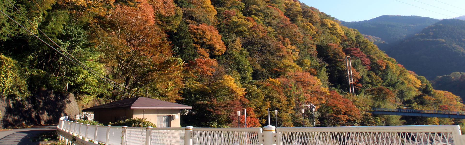 民宿 ロッヂ 八戒荘　丹沢湖花火　トップ画像