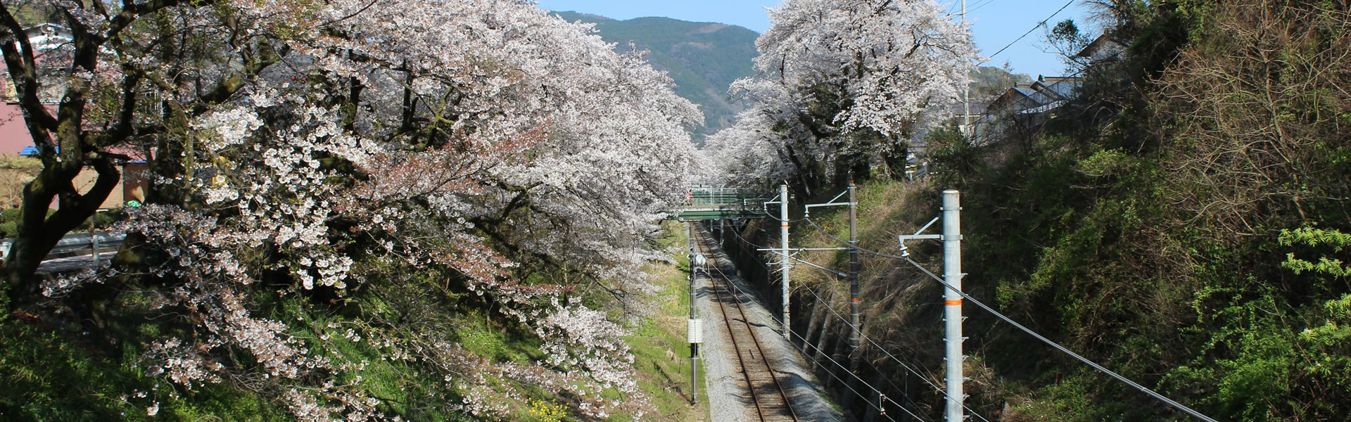 民宿 ロッヂ 八戒荘　お楽しみガイド　トップ画像