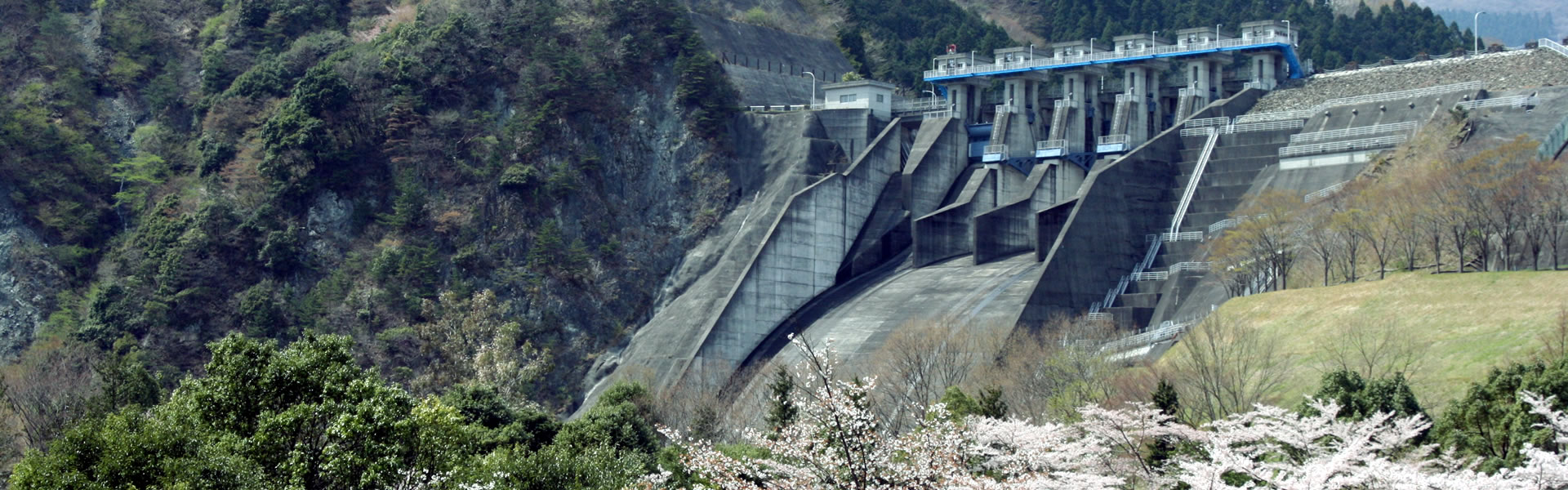 民宿 ロッヂ 八戒荘　山北のハイキング　トップ画像