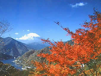 町立ぶなの湯　画像